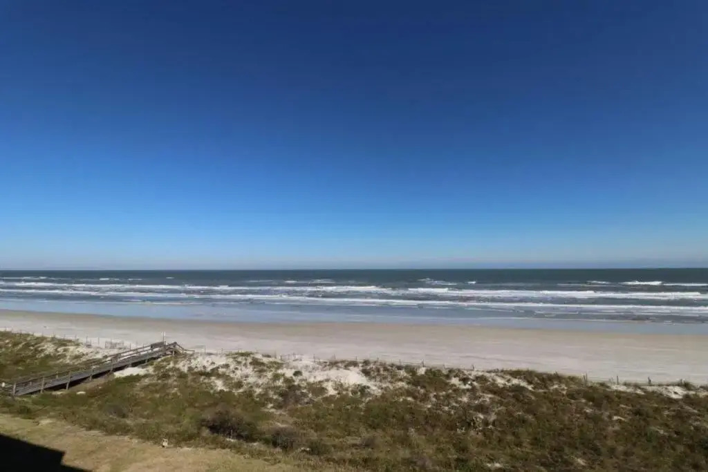 Sand Dollar 2-405