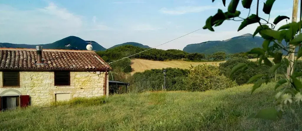 Oasi delle Gazze