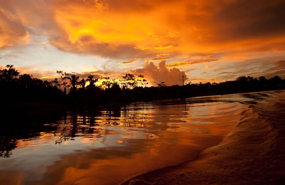 Friends of The Amazon Jungle Lodge