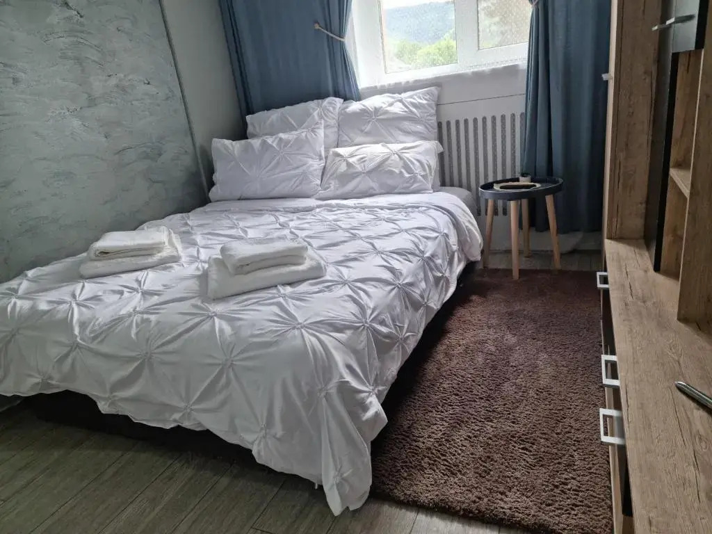 Apartament Georgiana