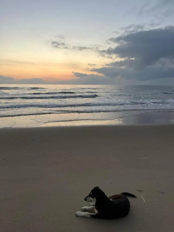 Cabo Dream Vacances
