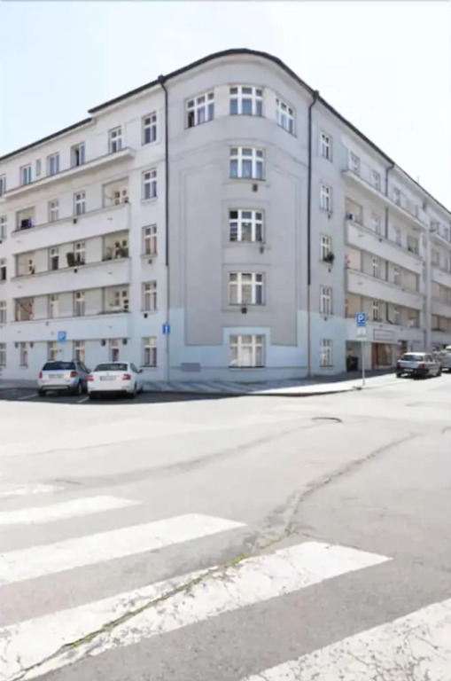 Chic And Spacious Buzulucka Apartment