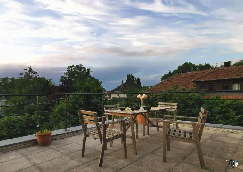 Loft avec Terrasse 77 M2 et 24 M2 STRASBOURG 2 à 6 couchages G Friendly