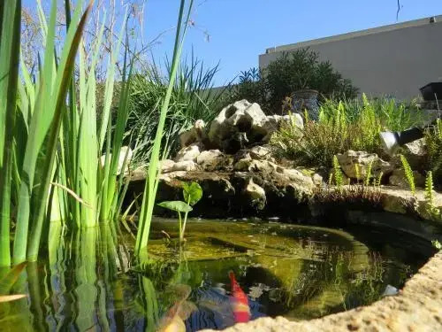 Dror Winery