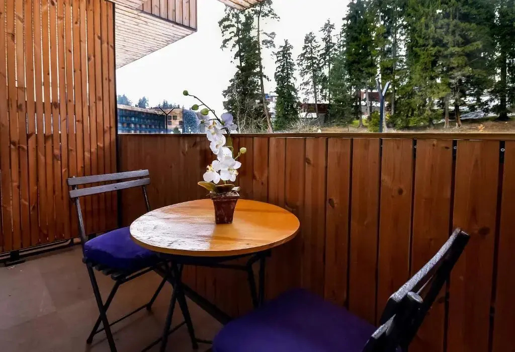 Studio style Kokhta-Mitarbi Apartment in Bakuriani