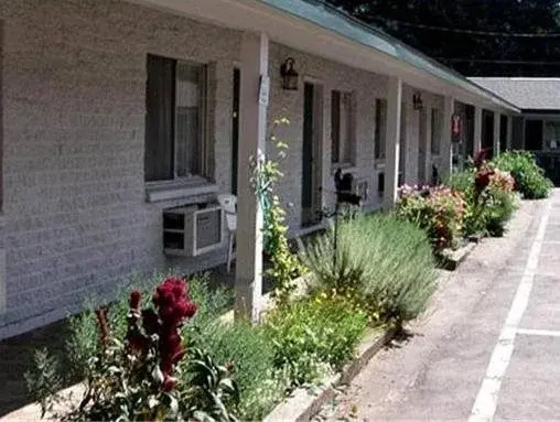 Forest Lodge Motel