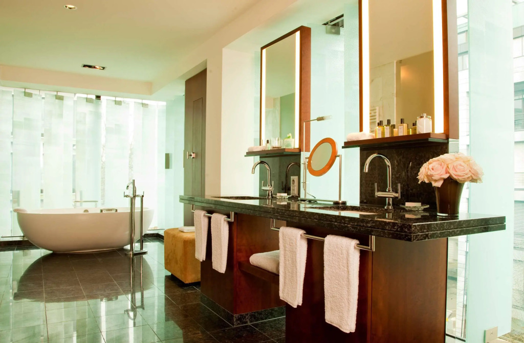 Park Hyatt Zurich   City Center Luxury