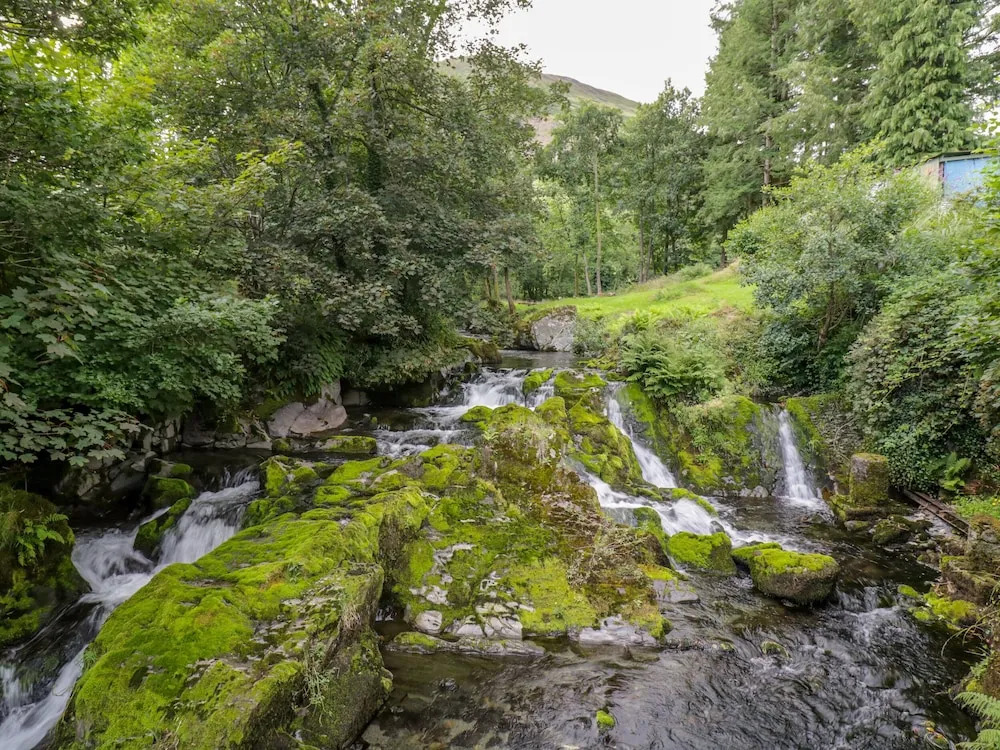Dyfi Cottage