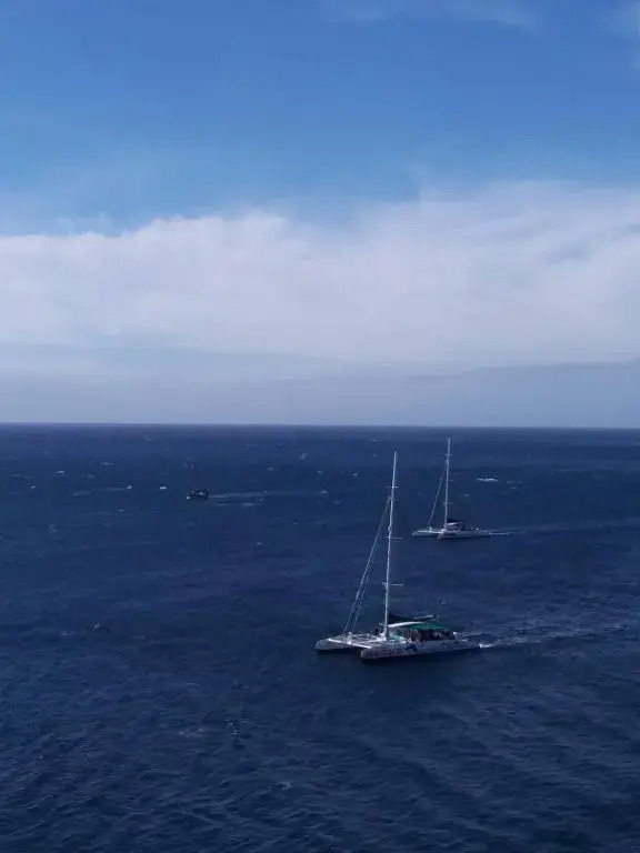 Funchal Paradise