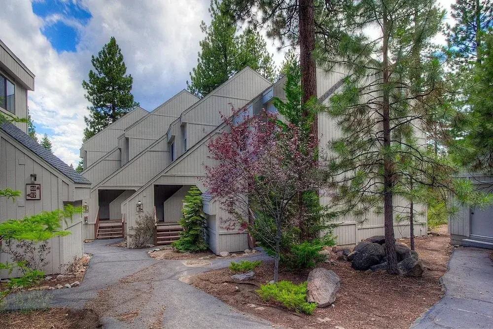Alder AvenueApartment