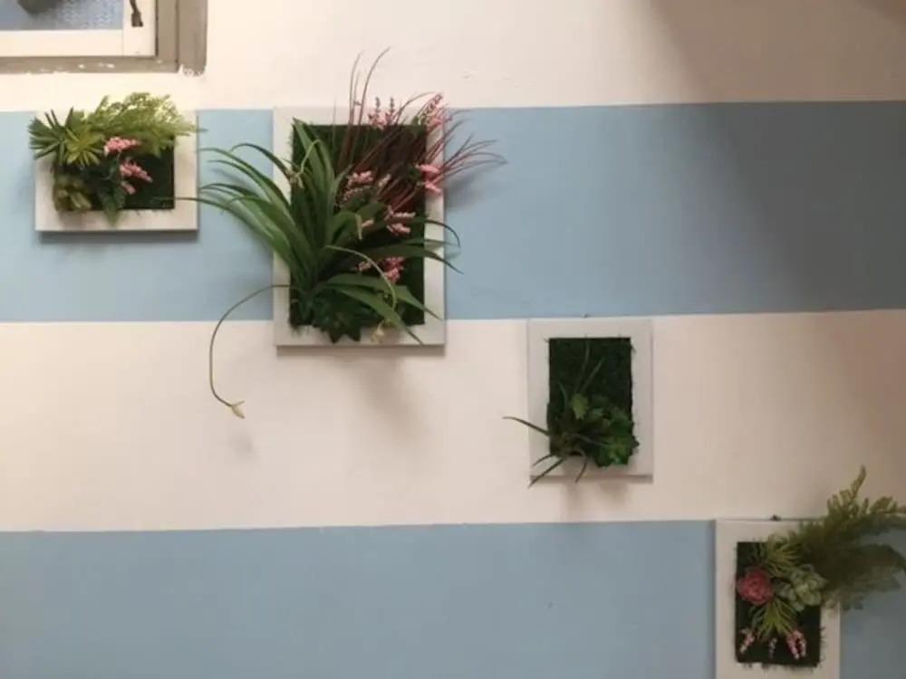 Meow Hostel
