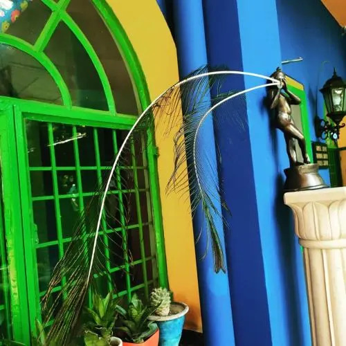 The Coral Tree Boutique Homestay