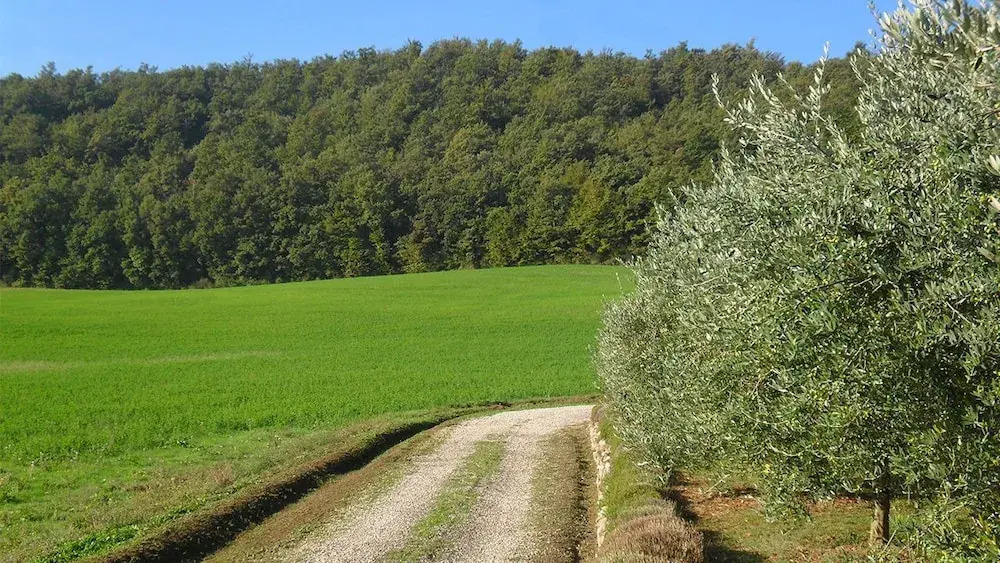 Ca Del Bocca