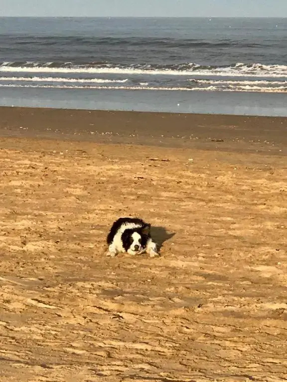 The Sun Trap @ Bridlington's Bed & Bowl Beach Breaks