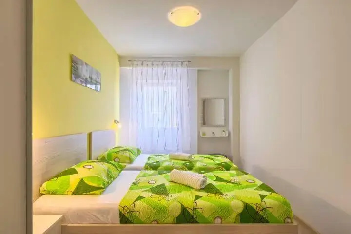 Apartment Viola ,2019