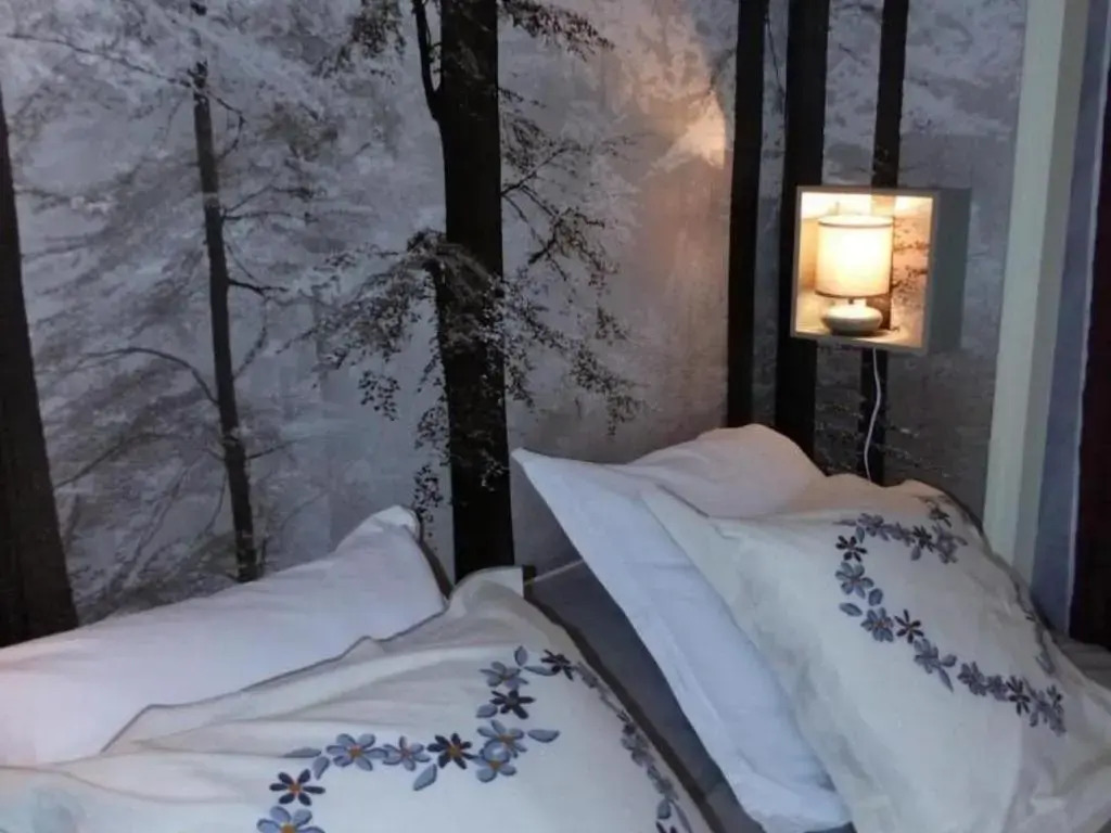 Maison confortable avec vaste jardin à Couleuvre - FR-1-489-284