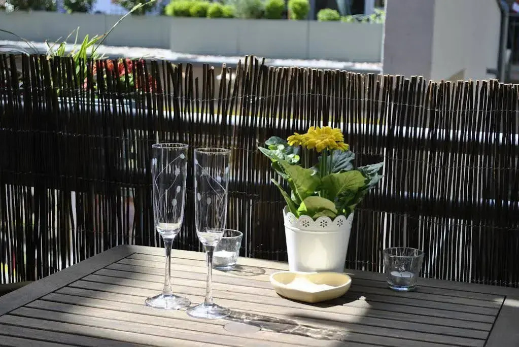 Cosy Apartment in Dresden With Balcony and Swimming Pool