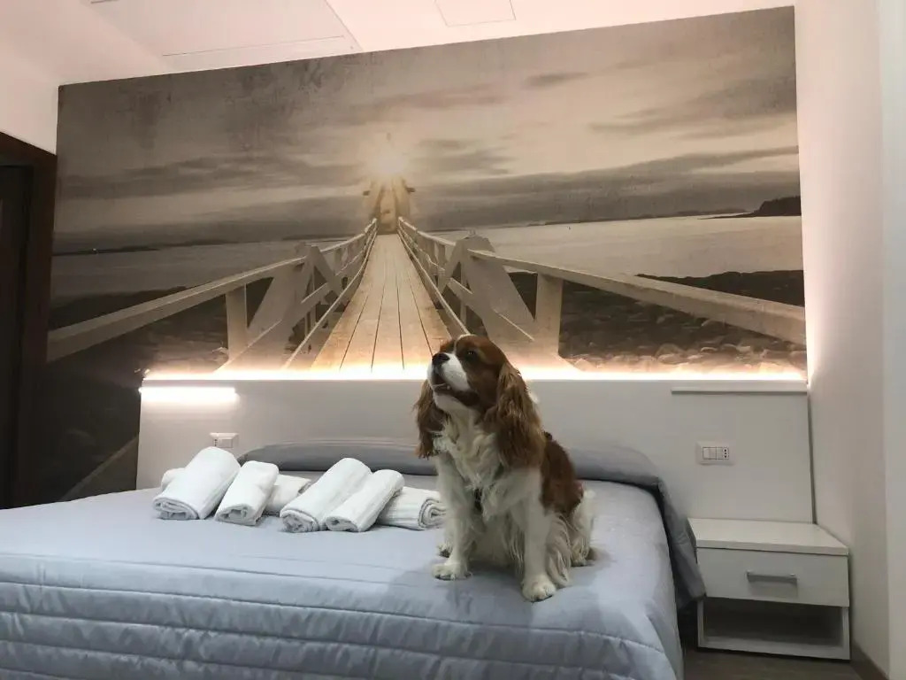 Hotel Ragno DOro