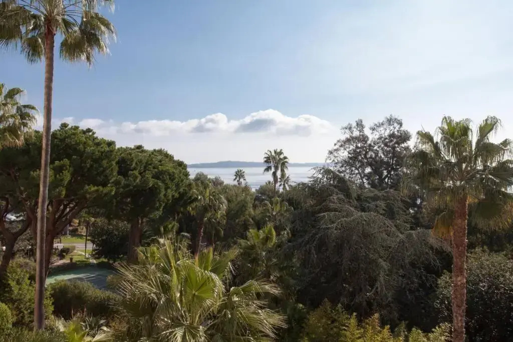 STUDIO STANDING VUE MER 2 PERS. 5 min.CANNES