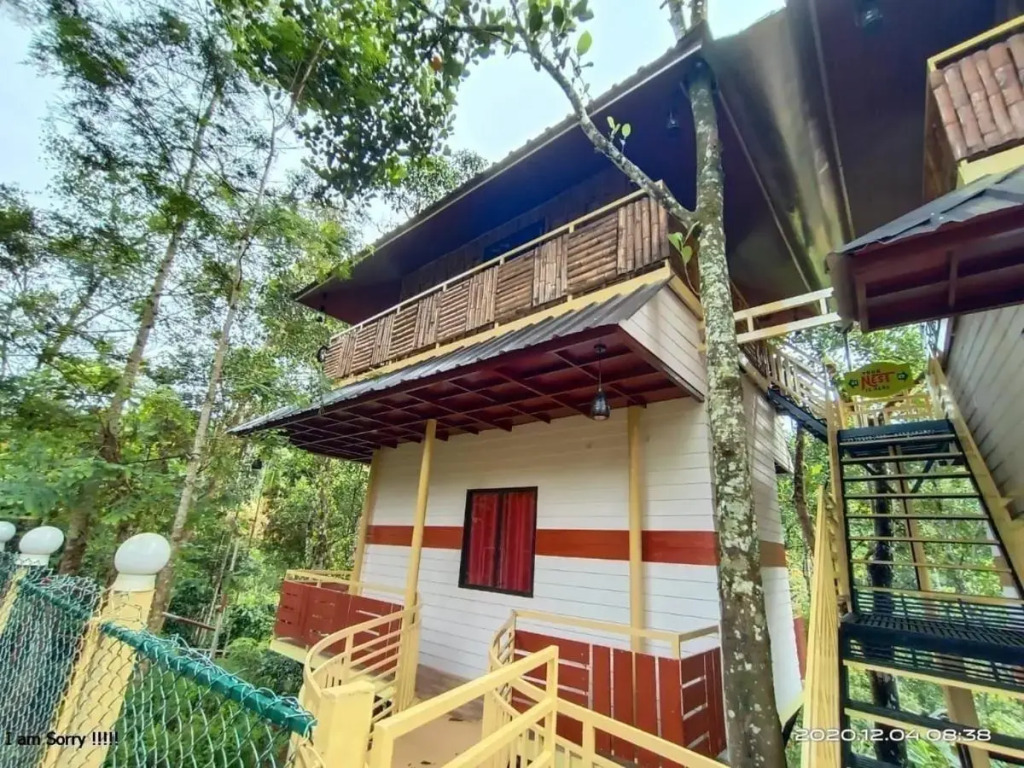 Chalona Jungle Eco Stay