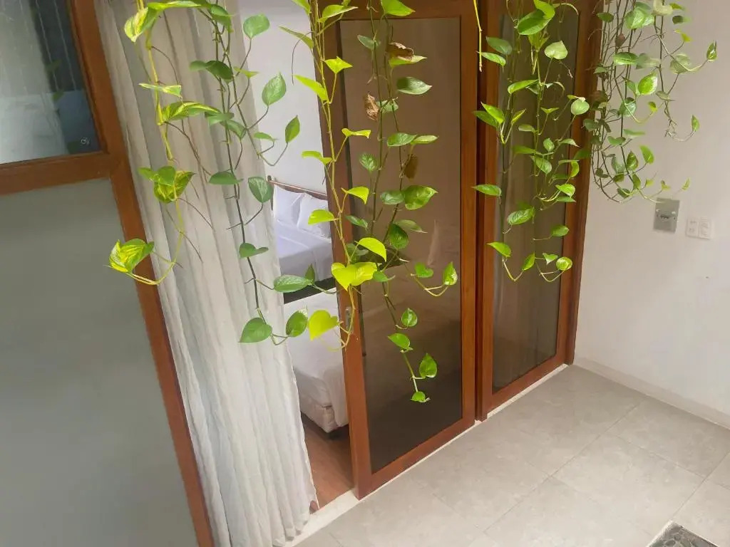 Holi Terrace Villa
