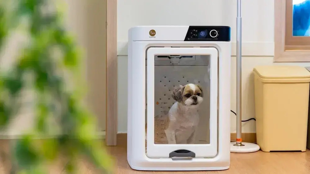Taean WithDog Aegyeonspa Poolvilla
