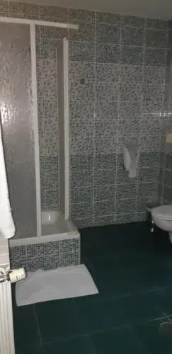 Vila Vlad