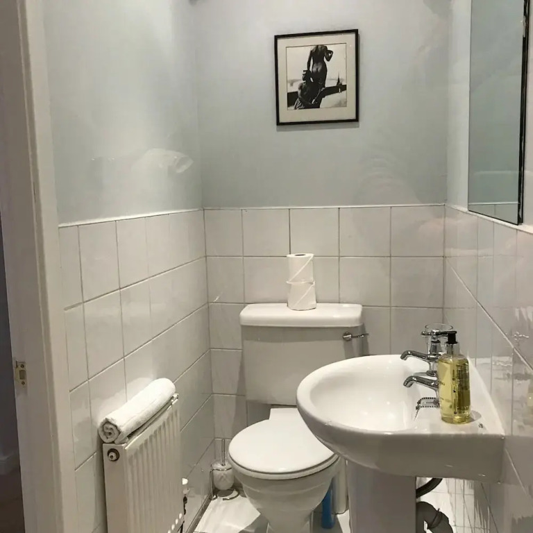 Georgian 3 Bedroom New Town Flat