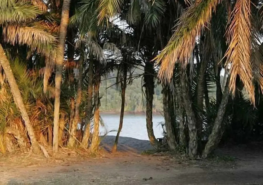 Tradewinds Country Inn