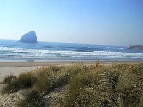 Shorepine Vacation Rentals