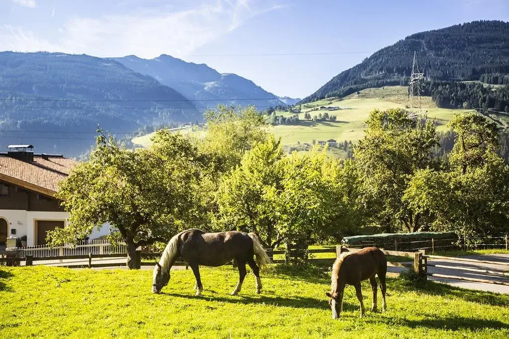 Oberhub am Kleinsonnberg