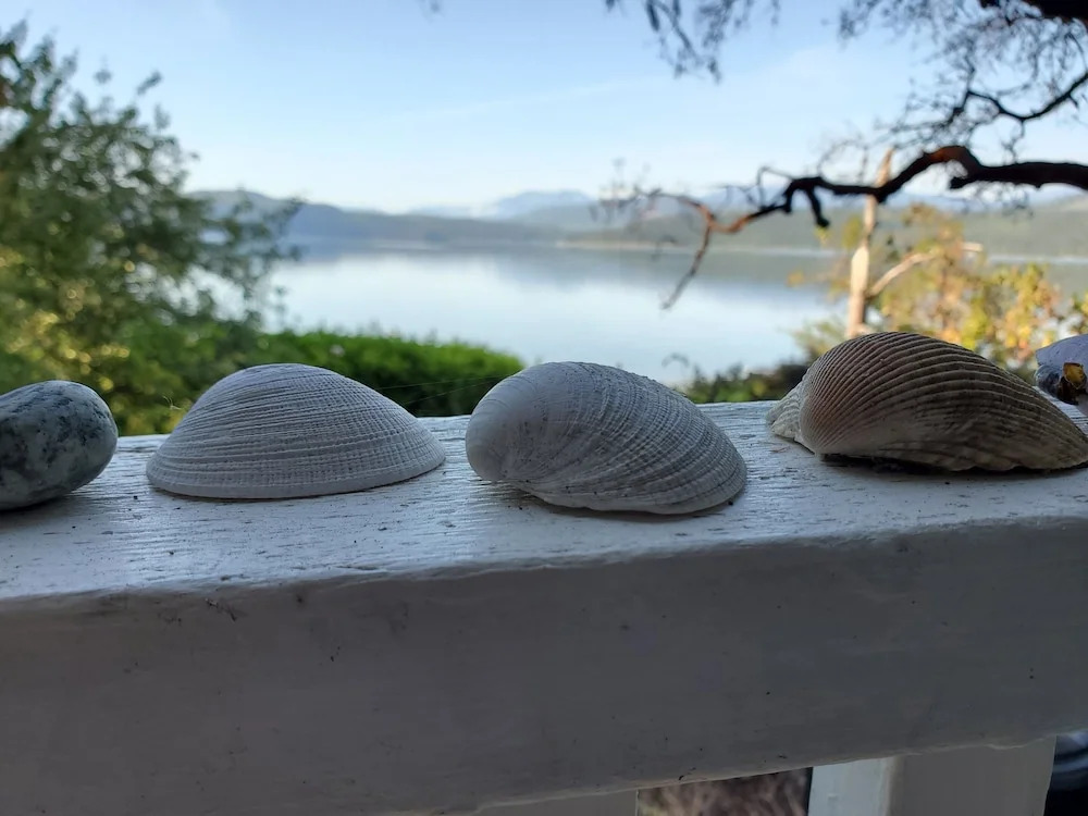 Bay Cottage