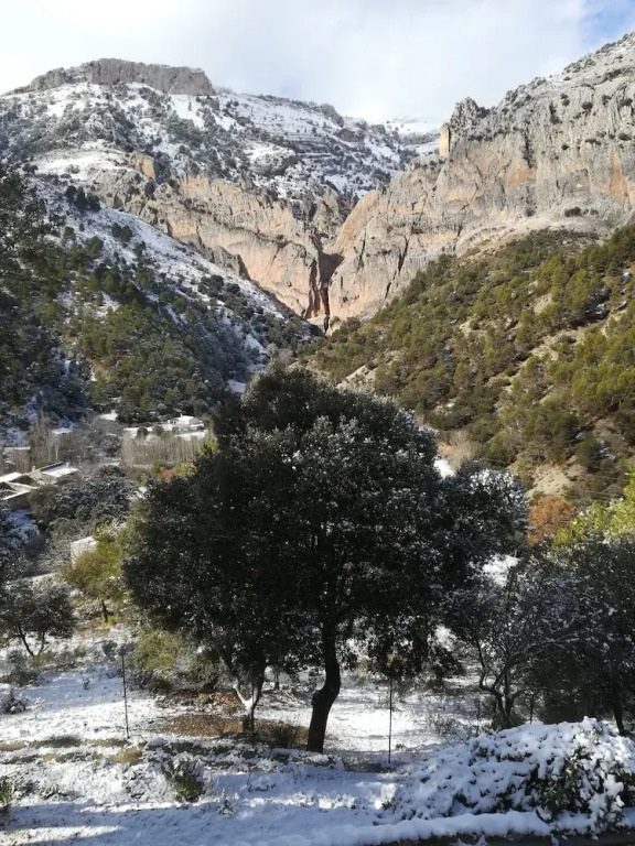Saluda Alta