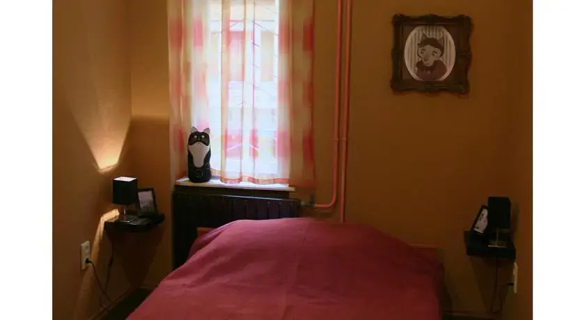 Cat and Co. Guesthouse