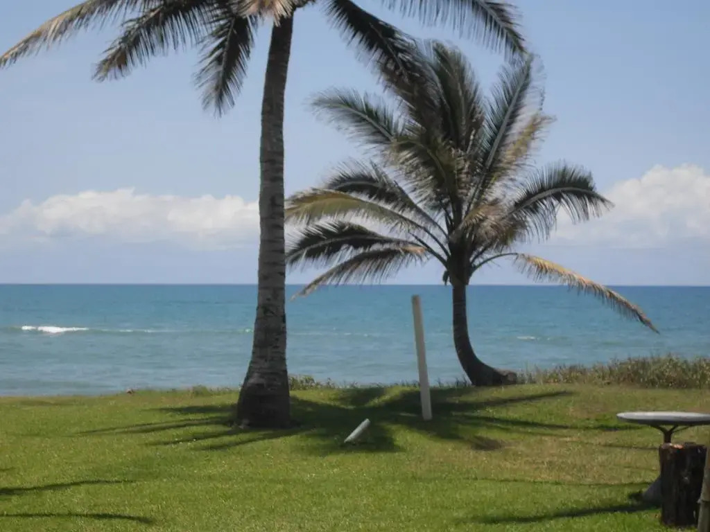 Cabo Alto