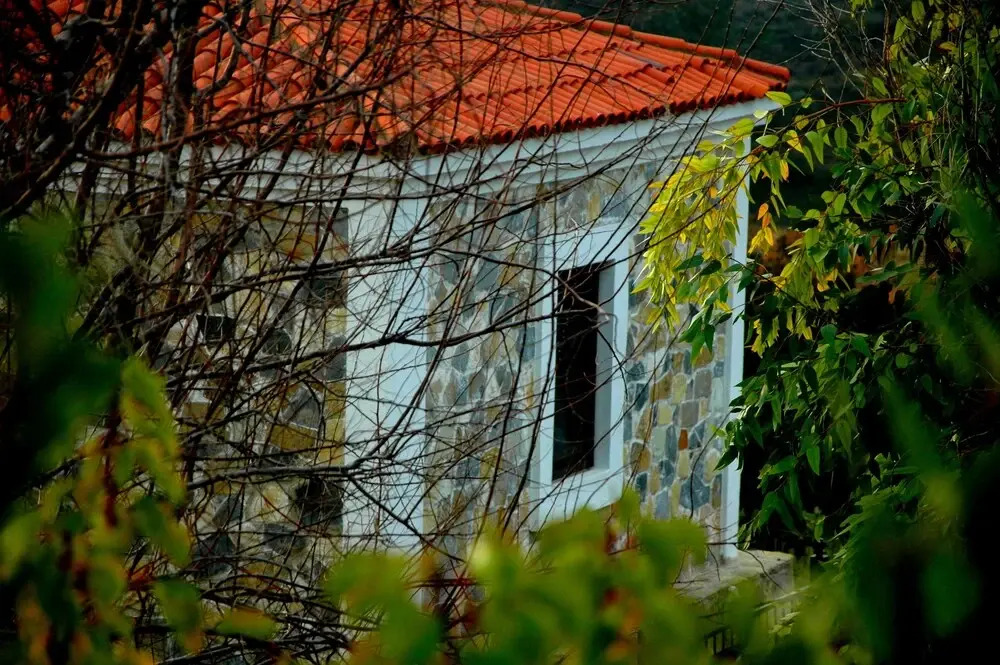 Mavi Karga