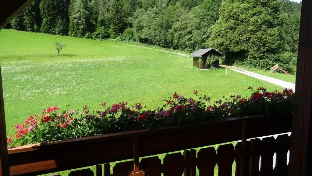 Ferienhaus Enzi