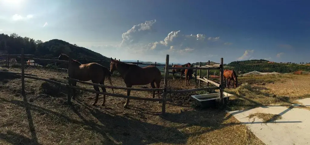 Maison Christine - Family Farm