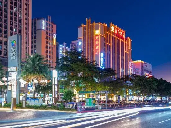 Baihe Hotel (Foshan Lecong Tianyoucheng)