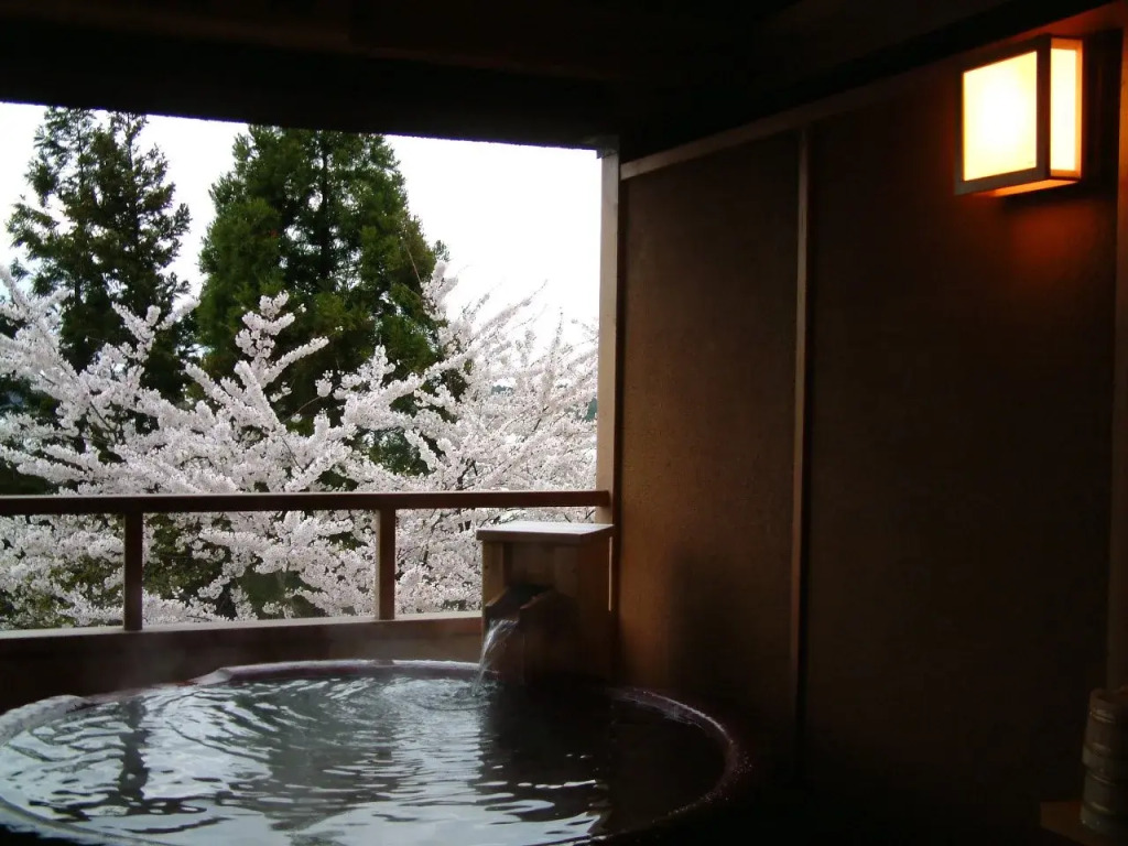 Hotel New Katsura