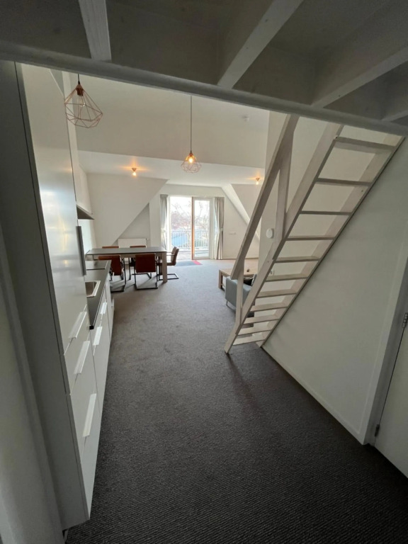 Penthouse DeLuxe
