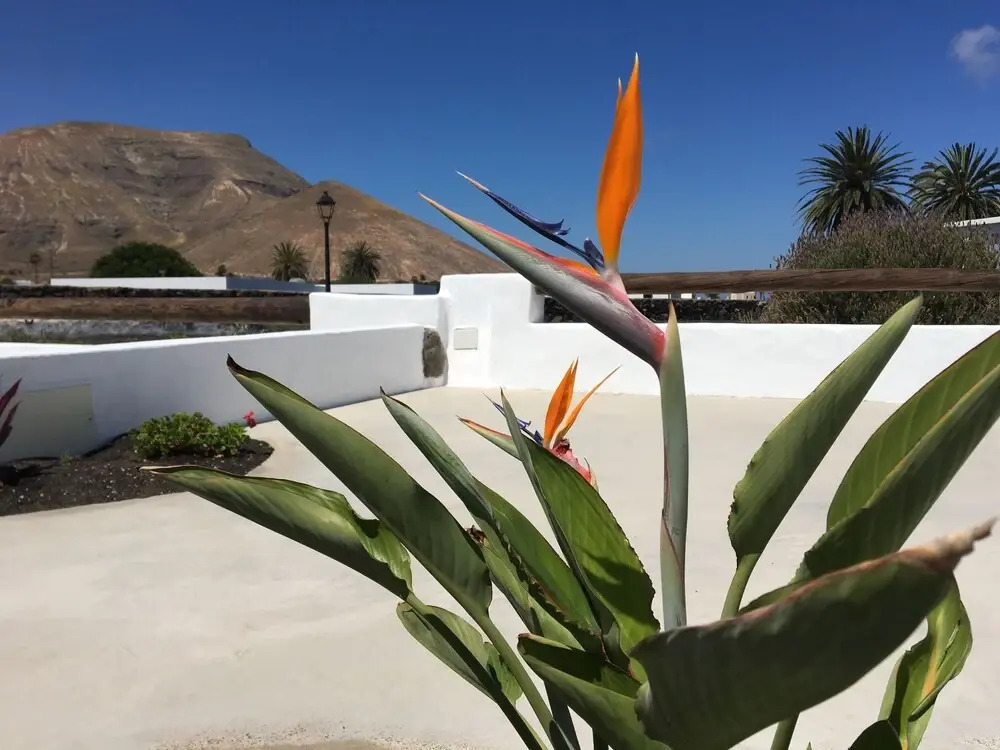 Casa Volcán y Mar