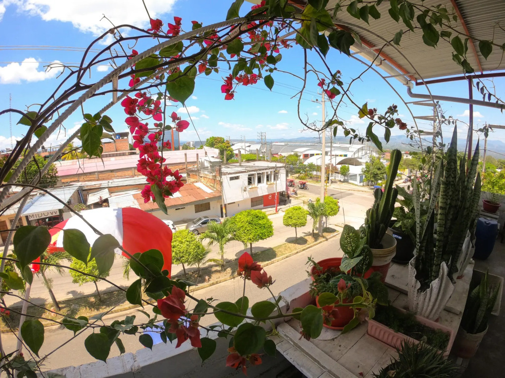 Flor del Valle Posada