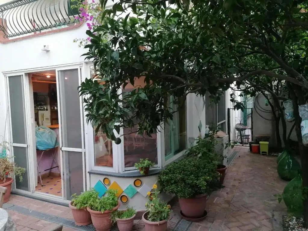 Palmarosa apartments