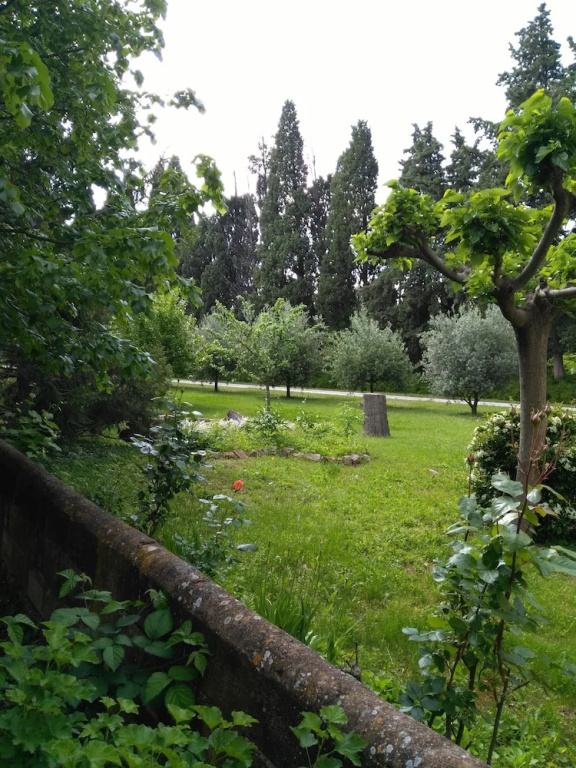 Rêve d’Emma
