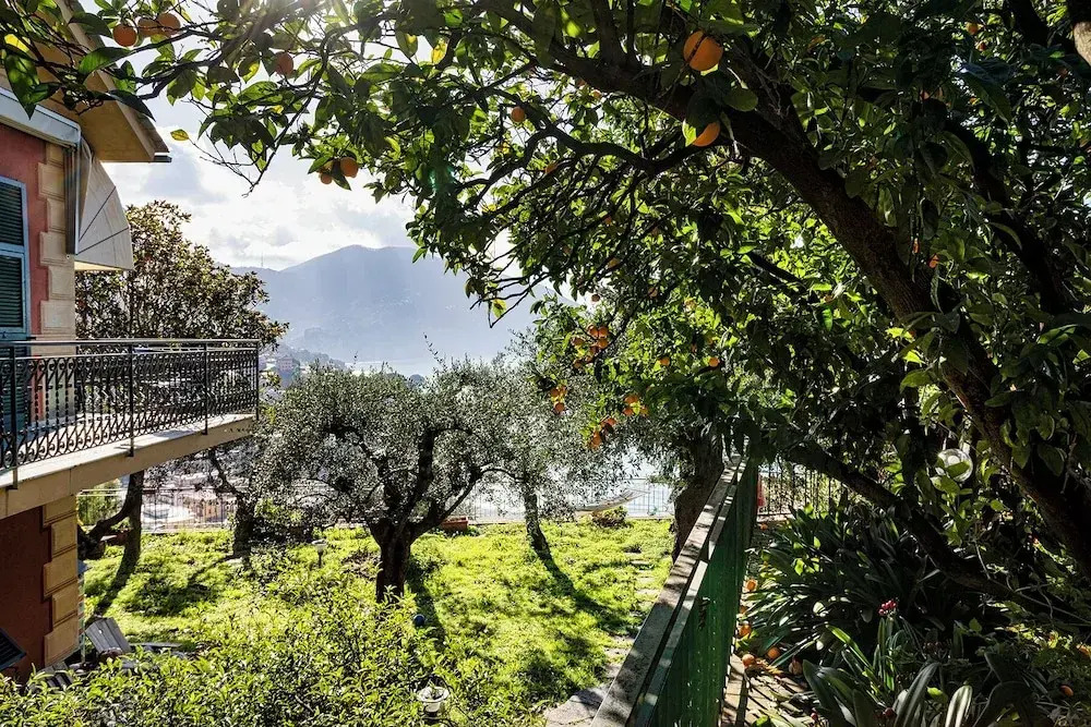 Seaview Apartment with Garden in Recco