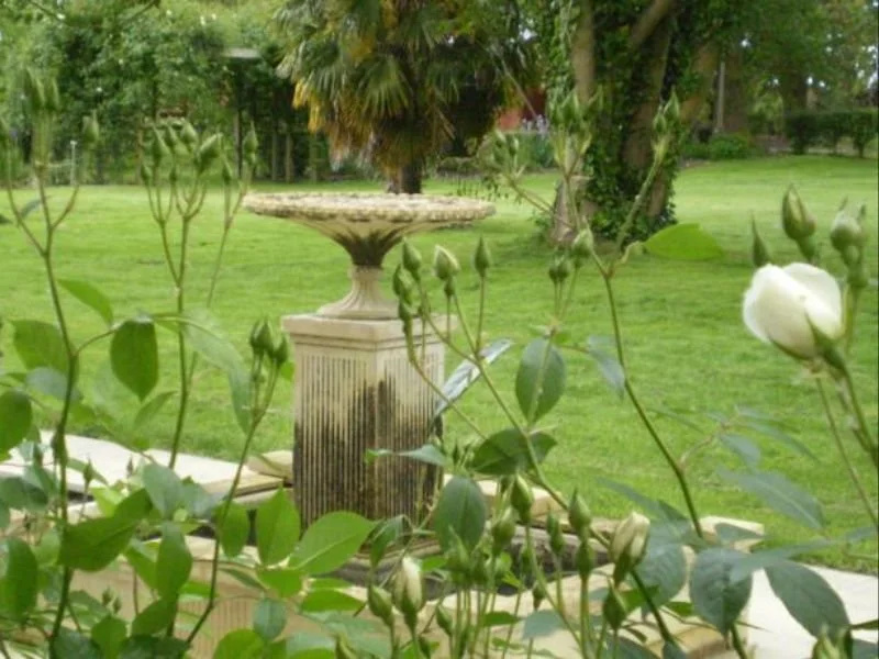 Willow Lodge B&B