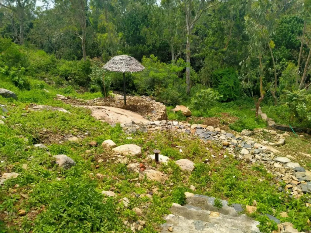The Pagodaa Resorts and Spa