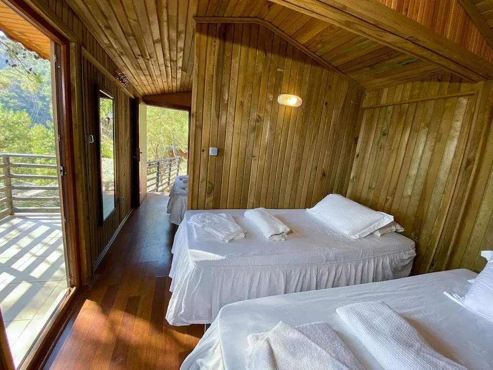 Tree Houses Hotel