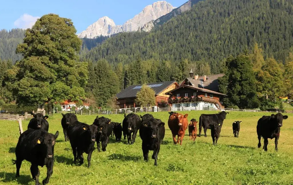 Naturhotel Lärchenhof